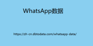 WhatsApp数据